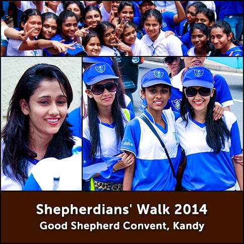 Shepherdians' Walk 2014
