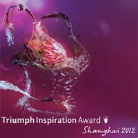 Triumph Inspiration Award 2012