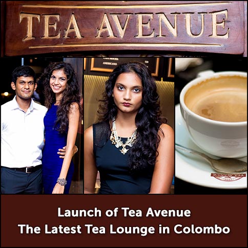 Launch of Tea Avenue - The Latest Tea Lounge in Colombo