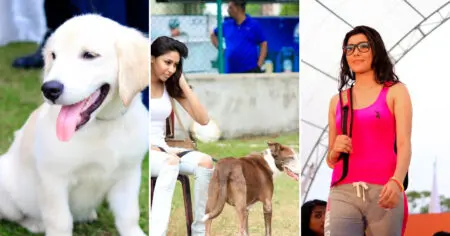 Embark's Pashionable Day Out!