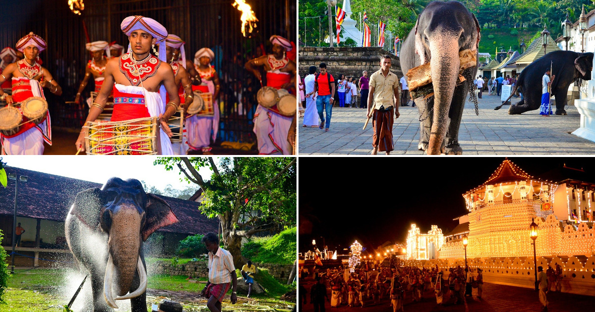 Kandy Esala Perahara 2013